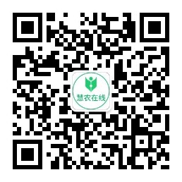 山东午夜精品在线观看智能科技有限公司公众微信号